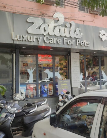 Zotails  Luxury Care for Pets