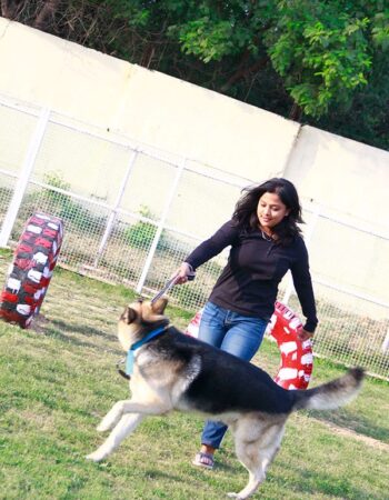 Bark n walk Dog Boarding Service in Delhi NCR