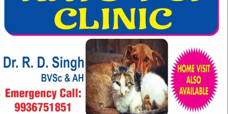 Rays Pet Clinic