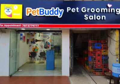 petbuddy-pet-grooming-salon-bhubaneshwar-pet-grooming-services-g1pdqjlhqc