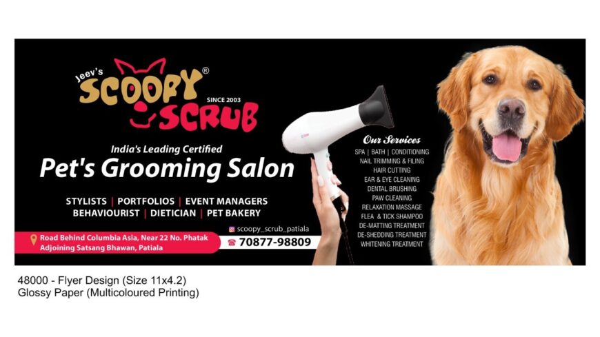 Scoopy Scrub Pet Grooming Salon