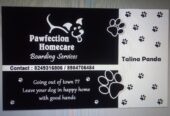 Pawfection Homecare Boarding Services