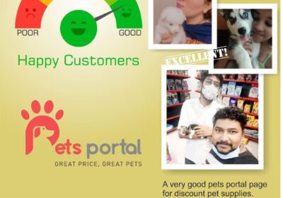 pets-portal-saurabh-saadatganj-l